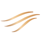 Logo CARDIOTROISLIONS