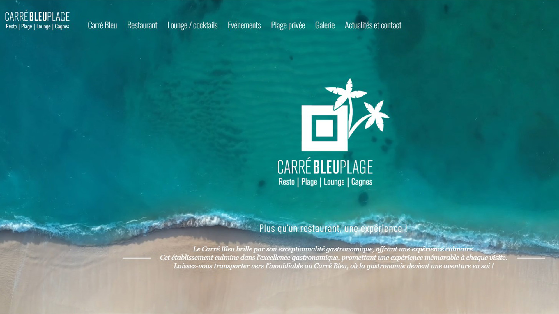 Logo CARRE BLEU