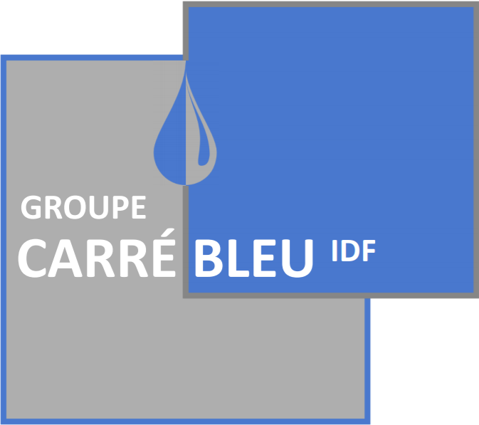 Logo CARRE BLEU IDF