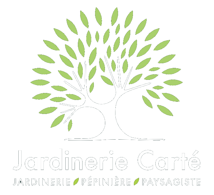 Logo CARTE PIERRE