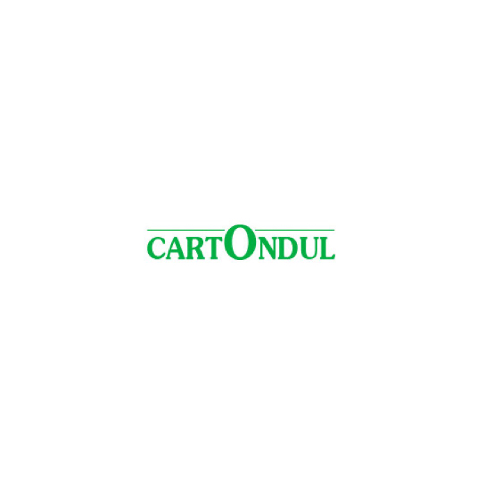 Logo CARTONDUL