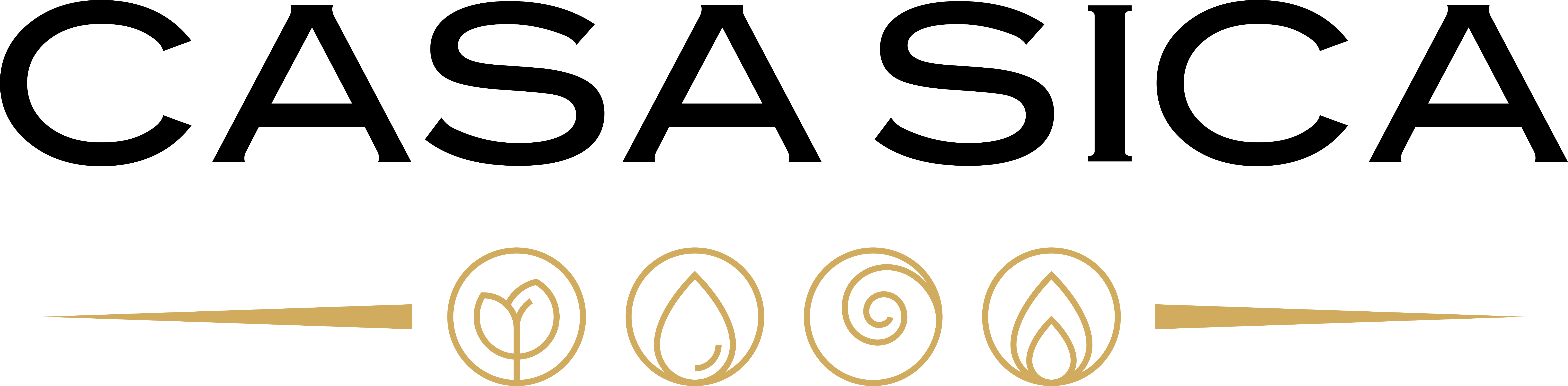 Logo CASA SICA
