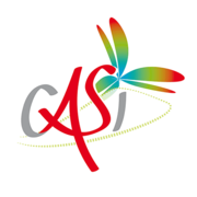 Logo CASI DE TOURS