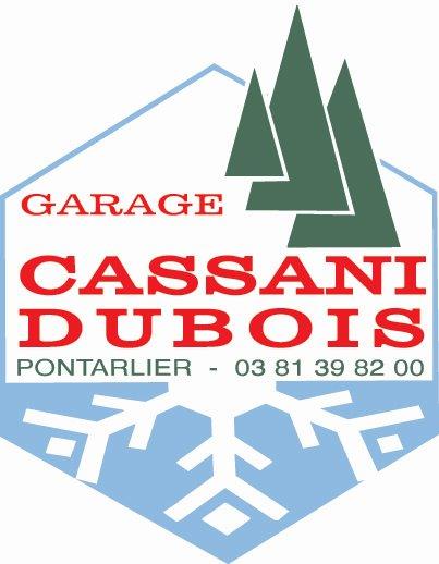 Logo CASSANI-DUBOIS