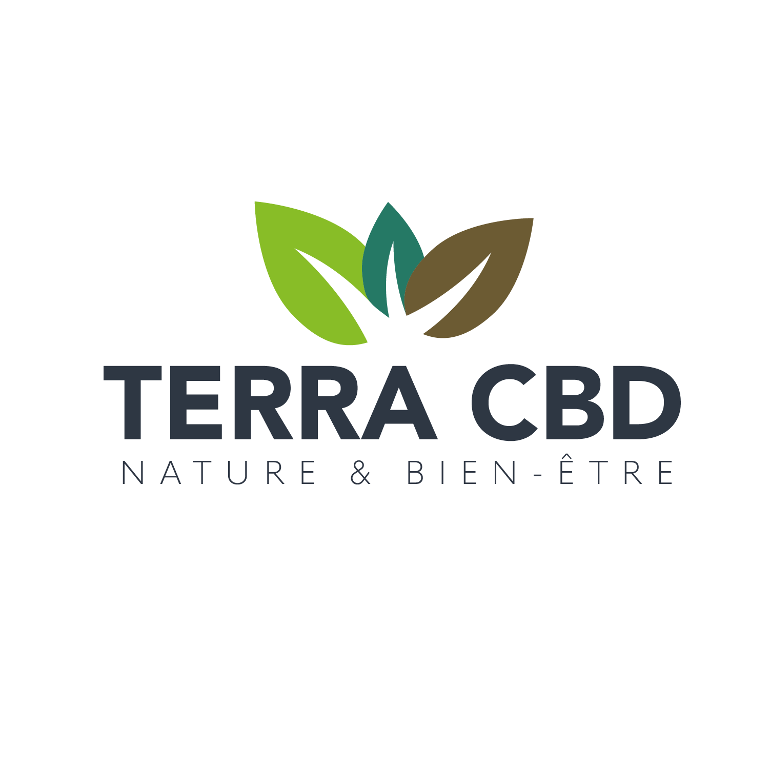 Logo CASTEL TERRA