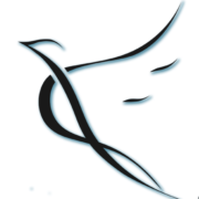 Logo CAVALIER-VIDAL SARL
