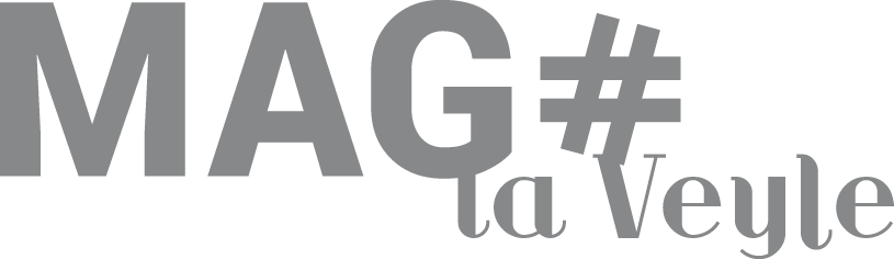 Logo CC DE LA VEYLE