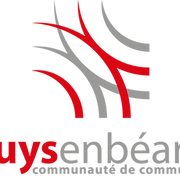 Logo CC DES LUYS EN BEARN