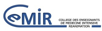 Logo CEMIR