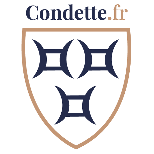 Logo CENTRE COMMUNAL D'ACTION SOCIALE