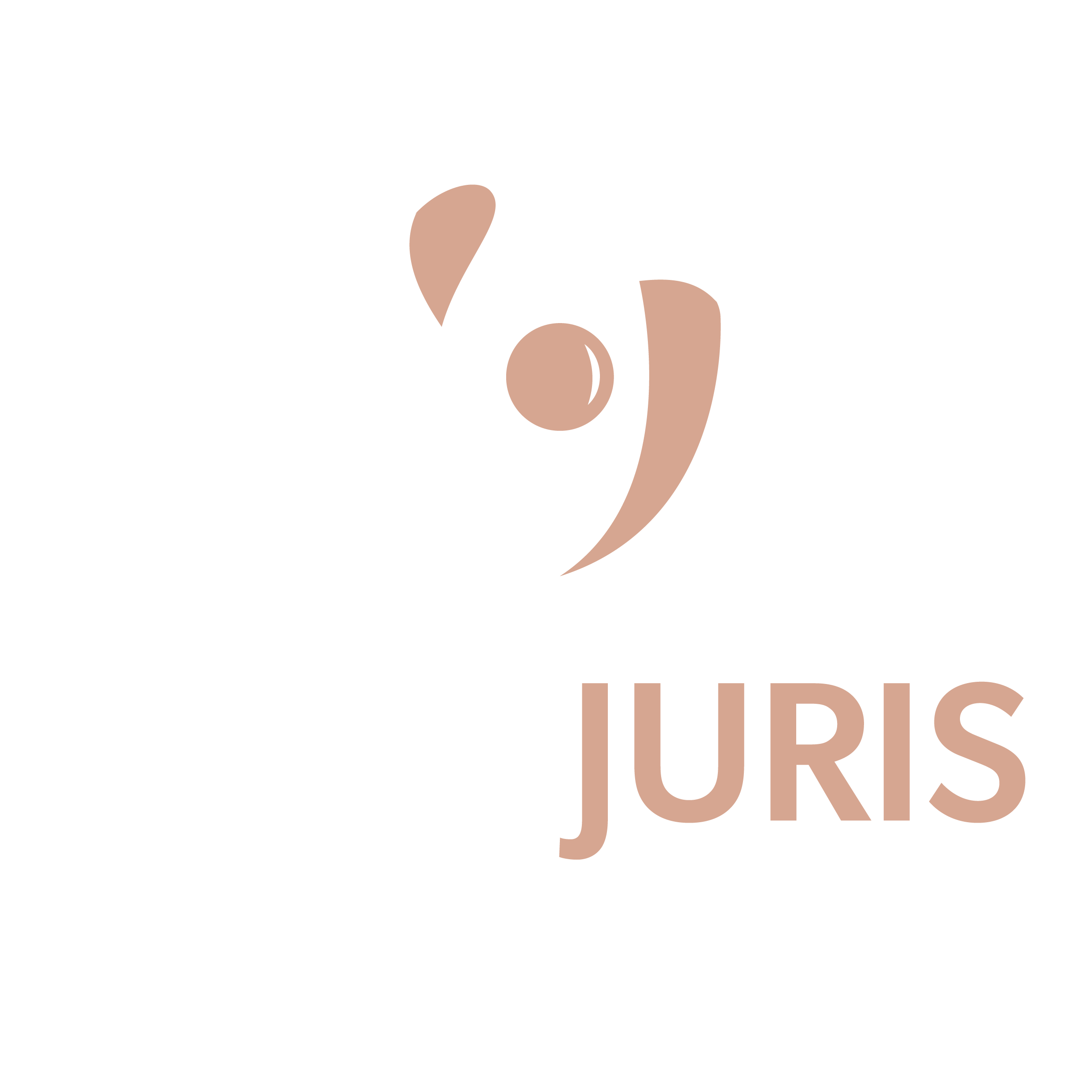 Logo CERTIJURIS