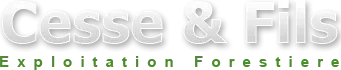 Logo CESSE ET FILS