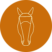 Logo CHAMBERGEOT EQUITATION