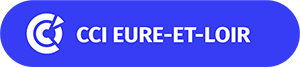 Logo CHAMBRE DE COMMERCE ET D INDUSTRIE DE REGION CENTRE VAL DE LOIRE (CCIR)
