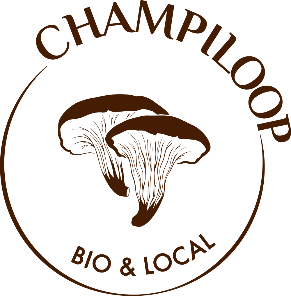 Logo CHAMPILOOP