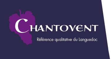 Logo CHANTOVENT SA