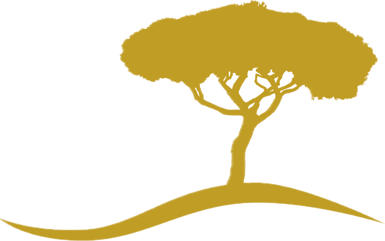 Logo CHATEAU DE COLLIAS