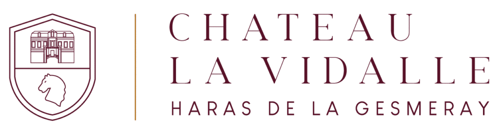 Logo CHATEAU LA VIDALLE