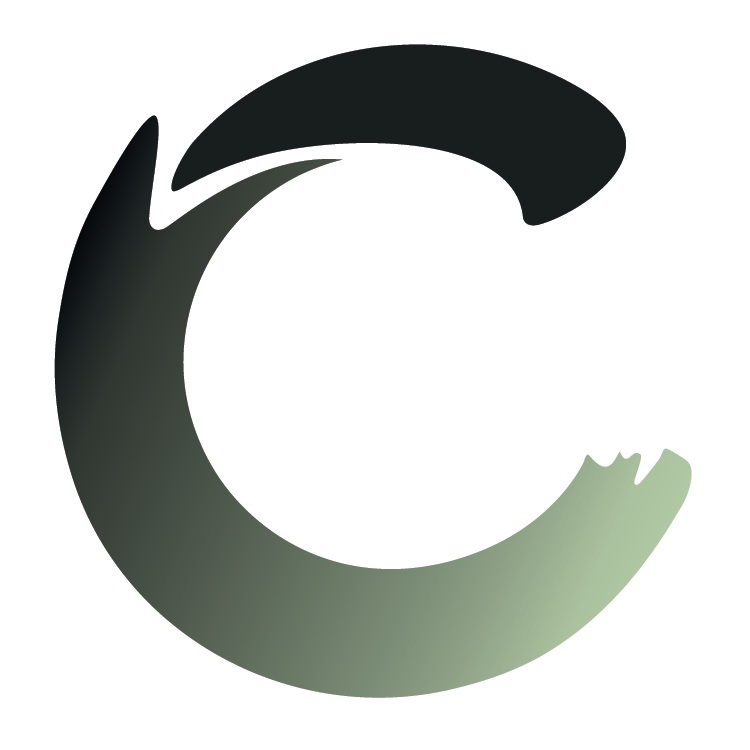 Logo CHAUSS SERVICE