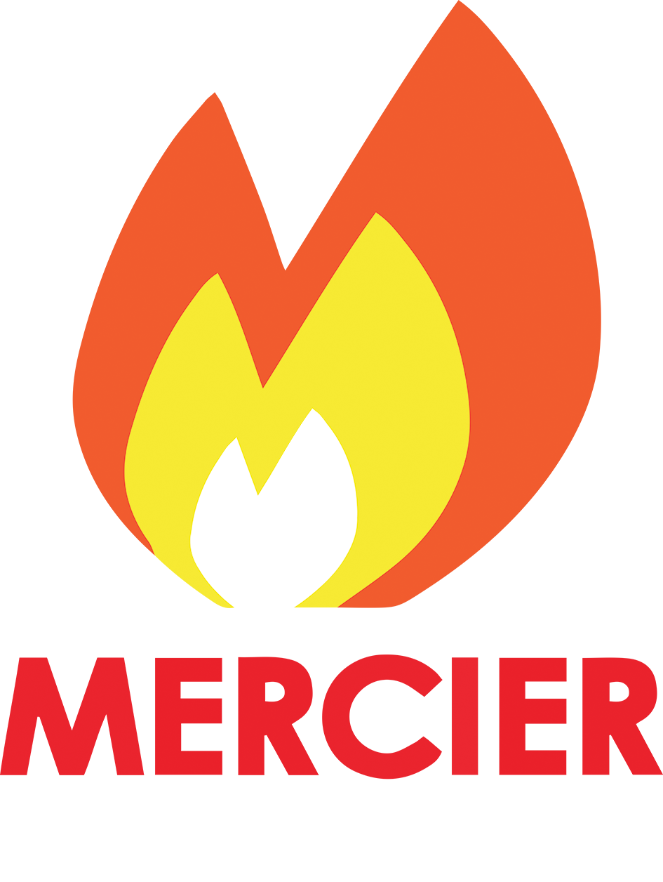 Logo CHEMINEES MERCIER