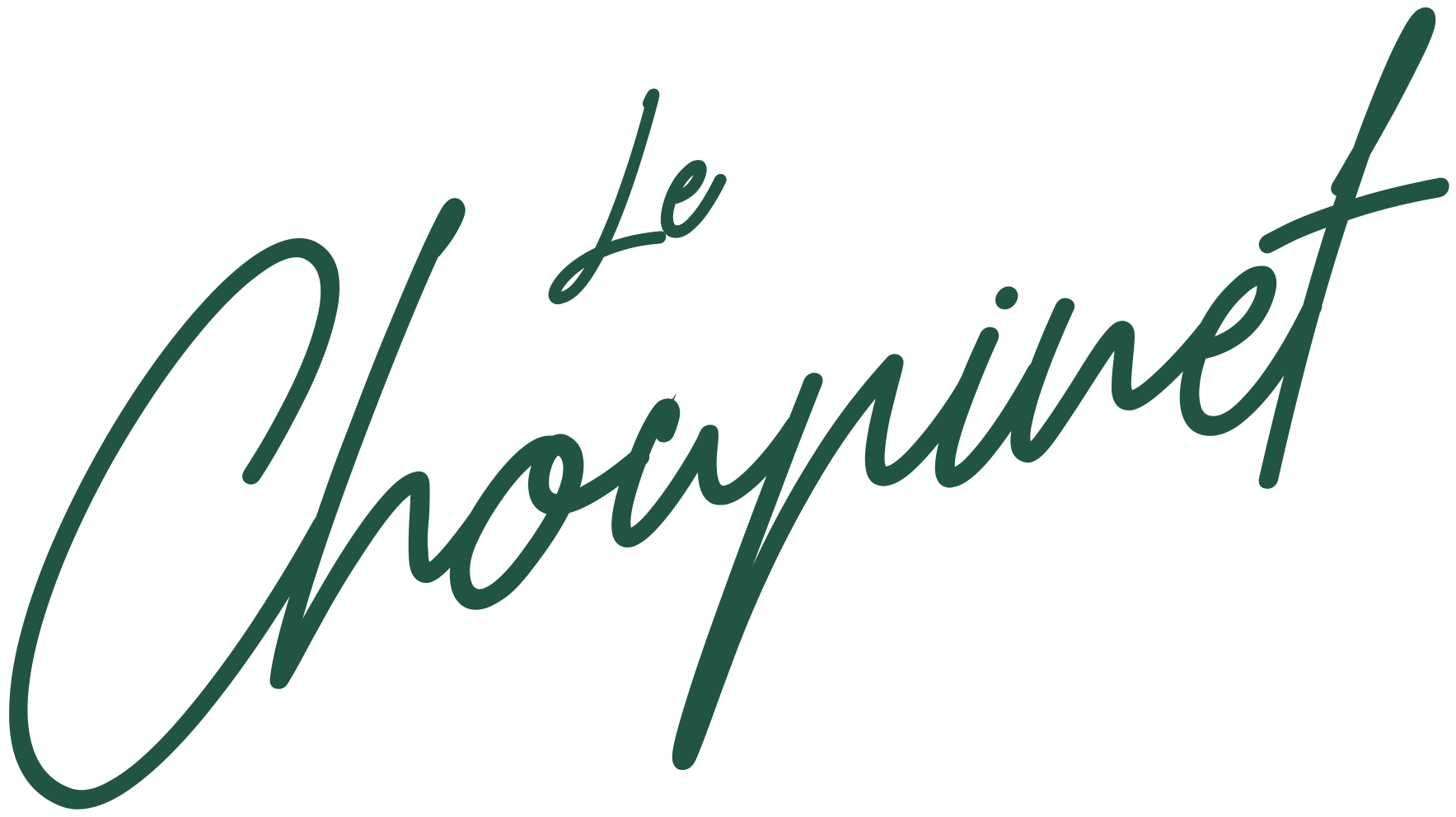Logo CHOUPINET