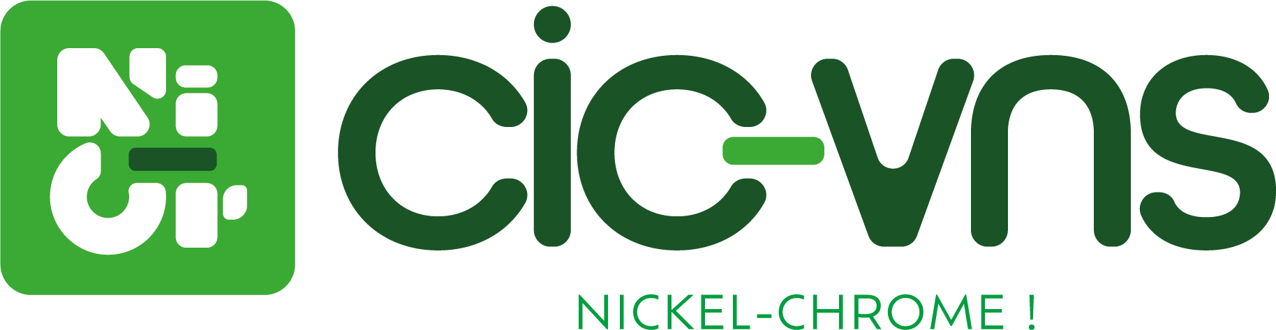 Logo CIC VNS