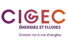 Logo CIGEC