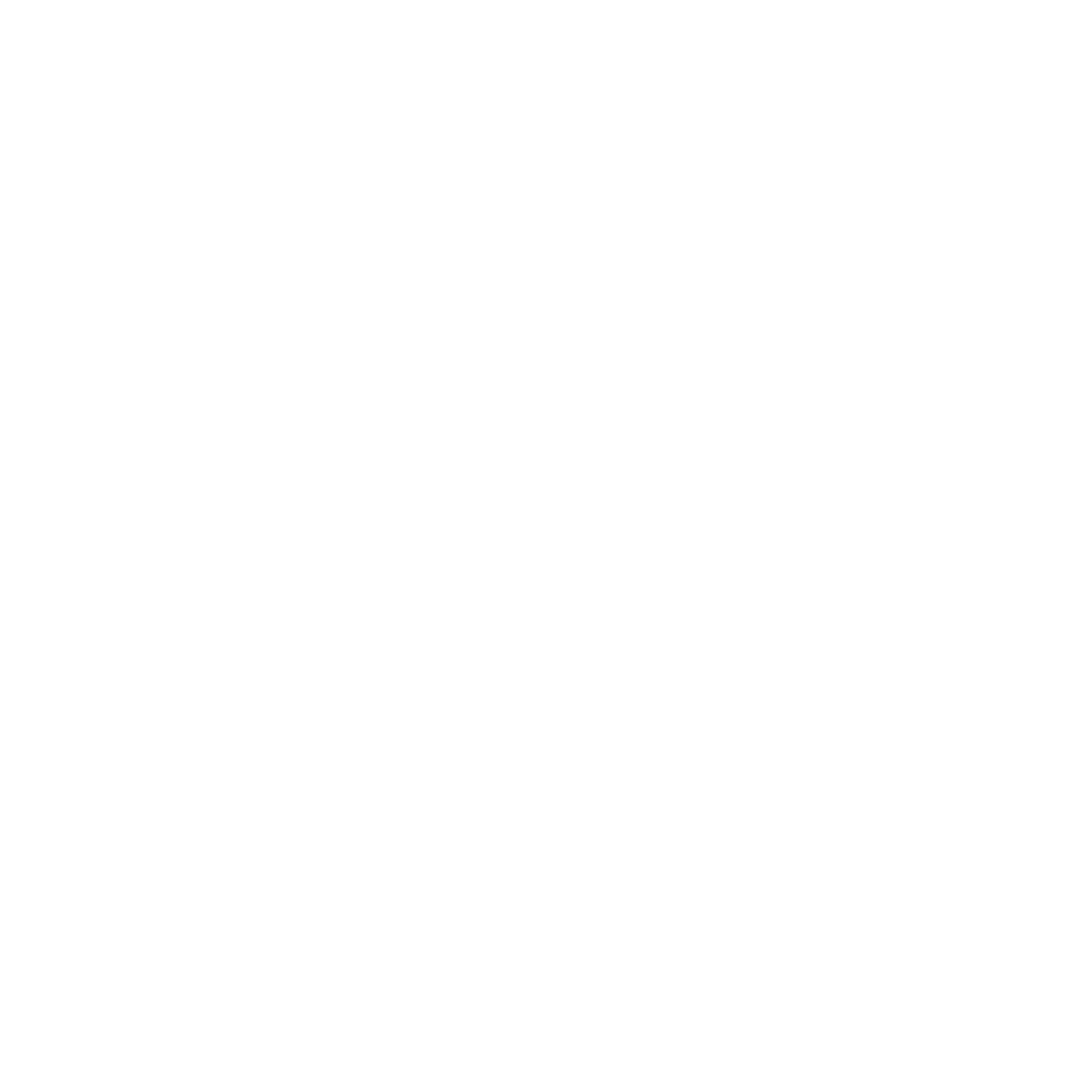 Logo CITY SURF PARK LYON (CSP LYON)