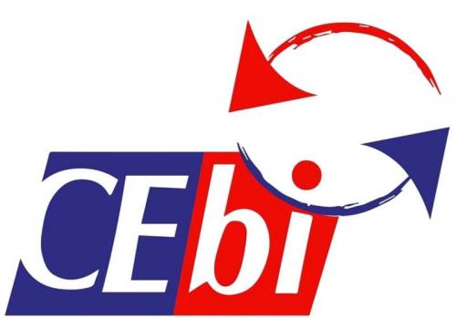 Logo CLIMATISATION ELECTRICITE BATIMENT INDUSTRIEL (CEBI)
