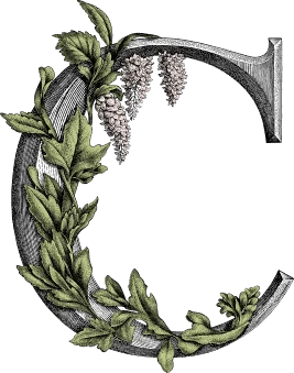 Logo COLETTE CAP FERRET