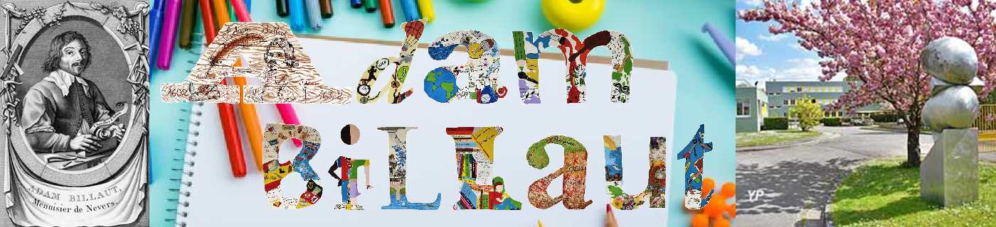 Logo COLLEGE ADAM BILLAUT (CLG)