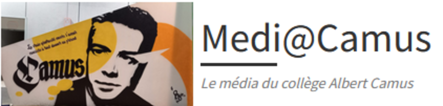 Logo COLLEGE ALBERT CAMUS
