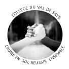 Logo COLLEGE DU VAL DE SAYE