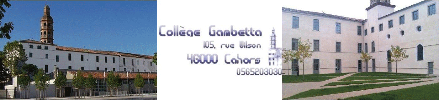 Logo COLLEGE GAMBETTA