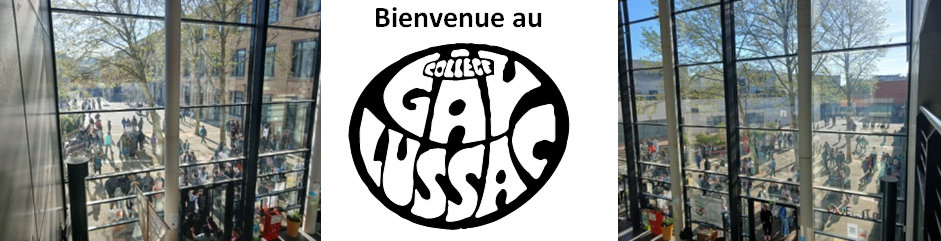 Logo COLLEGE GAY LUSSAC