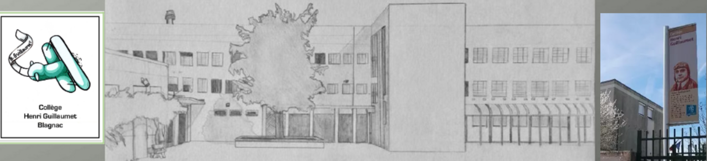 Logo COLLEGE HENRI GUILLAUMET