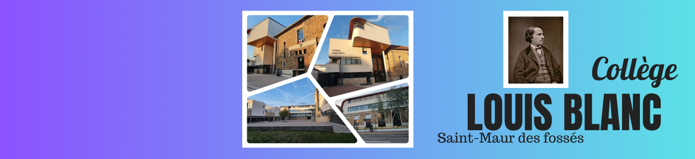 Logo COLLEGE LOUIS BLANC