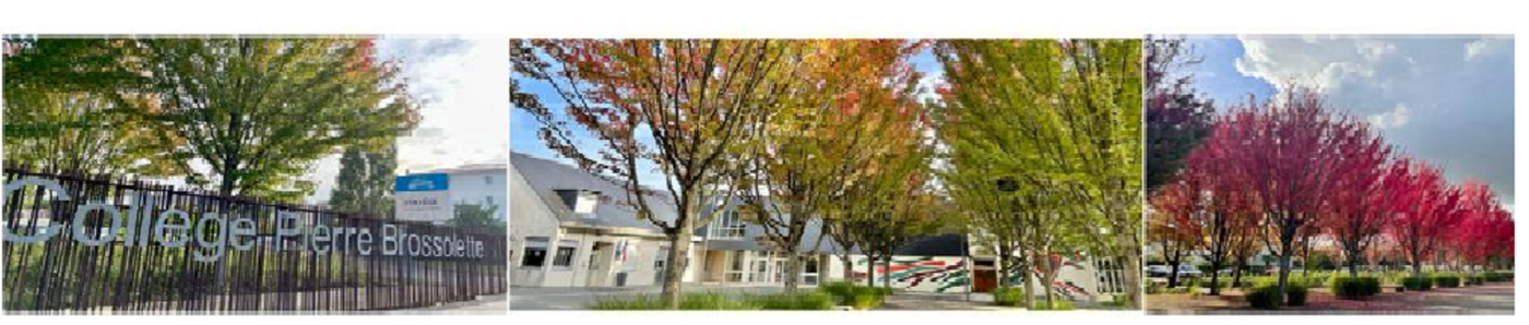 Logo COLLEGE PIERRE BROSSOLETTE (CLG)