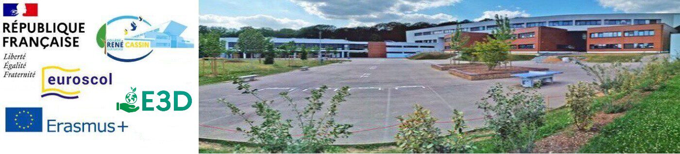 Logo COLLEGE RENE CASSIN