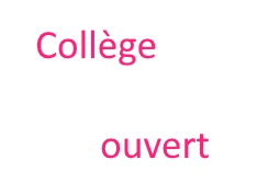 Logo COLLEGE SIMONE VEIL