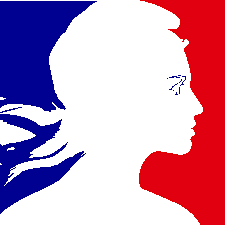 Logo COLLEGE SIMONE VEIL