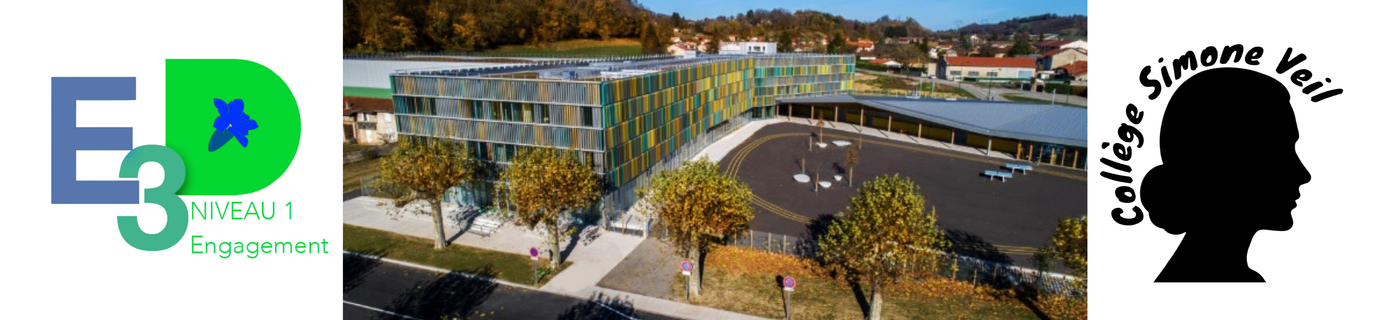 Logo COLLEGE SIMONE VEIL