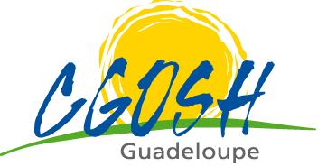 Logo COMITE GESTION OEUVRES SOCIALES