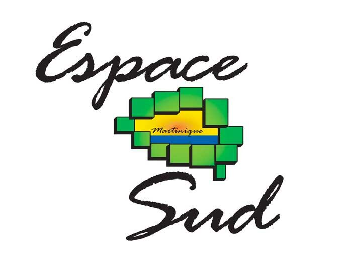 Logo COMMUNAUTE AGGLOMERATION ESPACE SUD