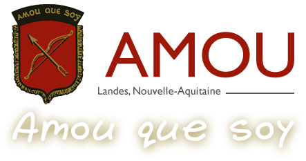 Logo COMMUNE D'AMOU