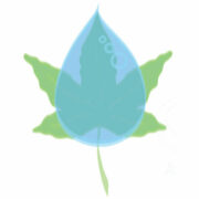 Logo COMMUNE D AULUS LES BAINS