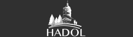 Logo COMMUNE D HADOL