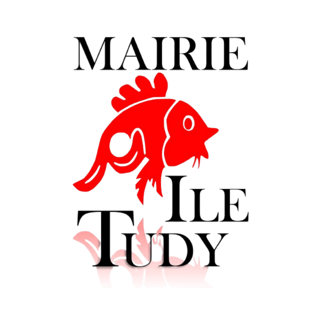 Logo COMMUNE D ILE TUDY