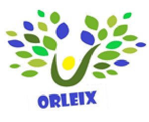 Logo COMMUNE D ORLEIX
