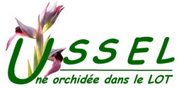 Logo COMMUNE D USSEL